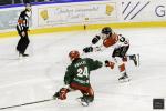 Photo hockey match Cergy-Pontoise - Amiens  le 01/11/2024