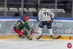 Photo hockey match Cergy-Pontoise - Angers  le 26/11/2024