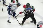 Photo hockey match Cergy-Pontoise - Angers  le 26/11/2024