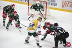 Photo hockey match Cergy-Pontoise - Anglet le 08/11/2024