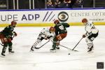 Photo hockey match Cergy-Pontoise - Anglet le 10/12/2024