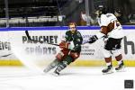 Photo hockey match Cergy-Pontoise - Bordeaux le 03/01/2025