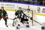 Photo hockey match Cergy-Pontoise - Bordeaux le 03/01/2025