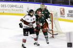 Photo hockey match Cergy-Pontoise - Bordeaux le 03/01/2025