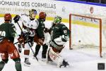 Photo hockey match Cergy-Pontoise - Bordeaux le 03/01/2025