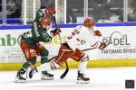 Photo hockey match Cergy-Pontoise - Brianon  le 19/11/2024