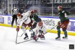 Photo hockey match Cergy-Pontoise - Brianon  le 19/11/2024