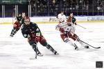 Photo hockey match Cergy-Pontoise - Brianon  le 17/01/2025