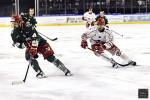 Photo hockey match Cergy-Pontoise - Brianon  le 17/01/2025