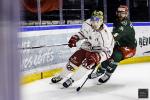 Photo hockey match Cergy-Pontoise - Brianon  le 17/01/2025