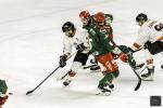 Photo hockey match Cergy-Pontoise - Chamonix  le 24/11/2024