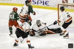 Photo hockey match Cergy-Pontoise - Chamonix  le 24/11/2024