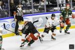 Photo hockey match Cergy-Pontoise - Chamonix  le 24/11/2024