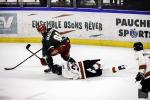 Photo hockey match Cergy-Pontoise - Chamonix  le 20/12/2024