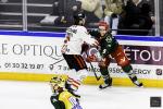 Photo hockey match Cergy-Pontoise - Nice le 06/12/2024