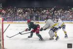 Photo hockey match Cergy-Pontoise - Rouen le 27/09/2024