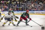 Photo hockey match Cergy-Pontoise - Rouen le 27/09/2024