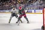 Photo hockey match Cergy-Pontoise - Rouen le 27/09/2024