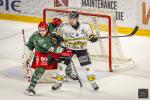 Photo hockey match Cergy-Pontoise - Rouen le 27/09/2024