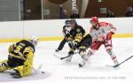 Photo hockey match Chambry - Grenoble  le 02/11/2022