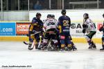 Photo hockey match Chamonix  - Caen  le 18/01/2014