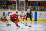 Photo hockey match Chamonix  - Cergy-Pontoise le 18/10/2024