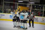 Photo hockey match Chamonix  - Marseille le 14/01/2025