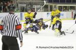 Photo hockey match Chamonix  - Rouen le 02/01/2014