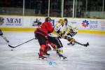 Photo hockey match Chamonix  - Rouen le 13/12/2024