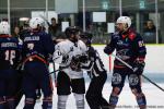 Photo hockey match Clermont-Ferrand - Toulouse-Blagnac le 28/09/2024