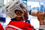 Photo hockey match Dijon  - Chlons-en-Champagne le 05/05/2024