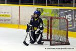 Photo hockey match Dijon  - Chamonix  le 01/02/2014