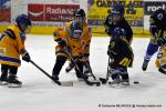 Photo hockey match Dijon  - Chamonix  le 01/02/2014