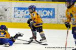 Photo hockey match Dijon  - Chamonix  le 01/02/2014