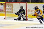 Photo hockey match Dijon  - Chamonix  le 01/02/2014