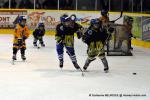 Photo hockey match Dijon  - Chamonix  le 01/02/2014