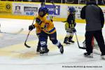 Photo hockey match Dijon  - Chamonix  le 01/02/2014