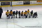 Photo hockey match Dijon  - Chamonix  le 01/02/2014