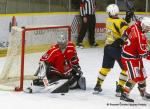 Photo hockey match Dijon  - Evry / Viry le 18/01/2025