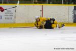 Photo hockey match Dijon  - Evry / Viry le 18/01/2025