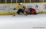 Photo hockey match Dijon  - Evry / Viry le 18/01/2025