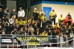 Photo hockey match Dijon  - Rouen le 23/11/2013