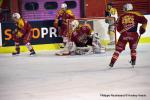 Photo hockey match Dijon  - Rouen le 08/01/2017