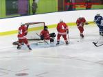 Photo hockey match France - Poland le 07/11/2013