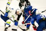 Photo hockey match France - Slovenia le 25/04/2024