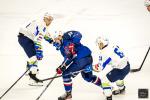 Photo hockey match France - Slovenia le 25/04/2024