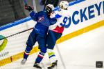 Photo hockey match France - Slovenia le 25/04/2024