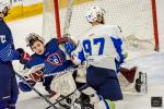 Photo hockey match France - Slovenia le 25/04/2024