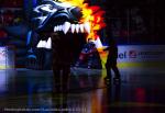 Photo hockey match Grenoble  - Amiens  le 18/12/2024