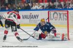 Photo hockey match Grenoble  - Amiens  le 18/12/2024